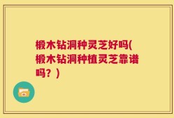 椴木钻洞种灵芝好吗(椴木钻洞种植灵芝靠谱吗？)