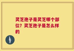 灵芝孢子是灵芝哪个部位？灵芝孢子是怎么样的