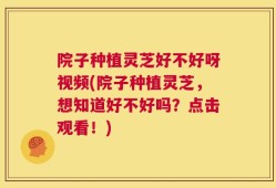 院子种植灵芝好不好呀视频(院子种植灵芝，想知道好不好吗？点击观看！)