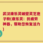 武汉康乐灵破壁灵芝孢子粉(康乐灵：抗疲劳神器，帮助您恢复活力)