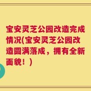宝安灵芝公园改造完成情况(宝安灵芝公园改造圆满落成，拥有全新面貌！)