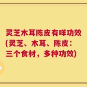 灵芝木耳陈皮有咩功效(灵芝、木耳、陈皮：三个食材，多种功效)