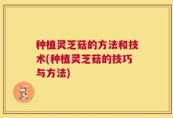 种植灵芝菇的方法和技术(种植灵芝菇的技巧与方法)