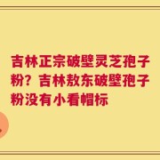 吉林正宗破壁灵芝孢子粉？吉林敖东破壁孢子粉没有小看帽标