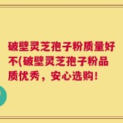 破壁灵芝孢子粉质量好不(破壁灵芝孢子粉品质优秀，安心选购！