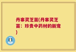 丹寨灵芝苗(丹寨灵芝苗：珍贵中药材的新宠)