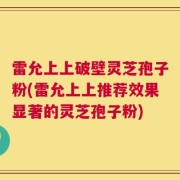 雷允上上破壁灵芝孢子粉(雷允上上推荐效果显著的灵芝孢子粉)