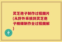 灵芝孢子制作过程图片(从野外采摘到灵芝孢子精细制作全过程图解)