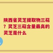 陕西省灵芝提取物三萜？灵芝三萜含量最高的灵芝是什么