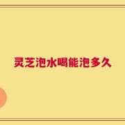 灵芝泡水喝能泡多久