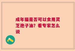 成年猫是否可以食用灵芝孢子油？看专家怎么说