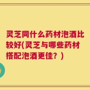 灵芝同什么药材泡酒比较好(灵芝与哪些药材搭配泡酒更佳？)
