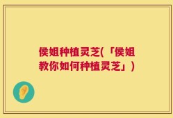 侯姐种植灵芝(「侯姐教你如何种植灵芝」)