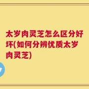 太岁肉灵芝怎么区分好坏(如何分辨优质太岁肉灵芝)
