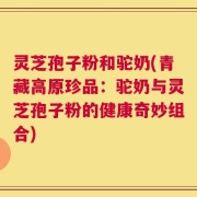 灵芝孢子粉和驼奶(青藏高原珍品：驼奶与灵芝孢子粉的健康奇妙组合)