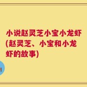 小说赵灵芝小宝小龙虾(赵灵芝、小宝和小龙虾的故事)