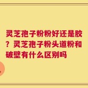 灵芝孢子粉粉好还是胶？灵芝孢子粉头道粉和破壁有什么区别吗