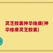 灵芝胶囊神华维康(神华维康灵芝胶囊)