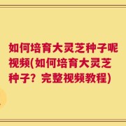 如何培育大灵芝种子呢视频(如何培育大灵芝种子？完整视频教程)