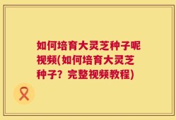 如何培育大灵芝种子呢视频(如何培育大灵芝种子？完整视频教程)