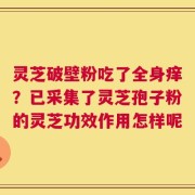 灵芝破壁粉吃了全身痒？已采集了灵芝孢子粉的灵芝功效作用怎样呢