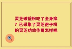 灵芝破壁粉吃了全身痒？已采集了灵芝孢子粉的灵芝功效作用怎样呢