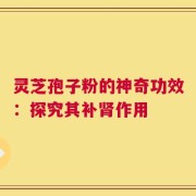 灵芝孢子粉的神奇功效：探究其补肾作用