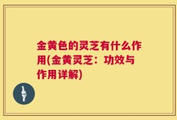 金黄色的灵芝有什么作用(金黄灵芝：功效与作用详解)