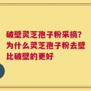 破壁灵芝孢子粉采摘？为什么灵芝孢子粉去壁比破壁的更好