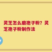 灵芝怎么磨孢子粉？灵芝孢子粉制作法