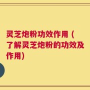灵芝炮粉功效作用 (了解灵芝炮粉的功效及作用)