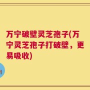 万宁破壁灵芝孢子(万宁灵芝孢子打破壁，更易吸收)