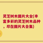 灵芝树木图片大全(丰富多彩的灵芝树木品种，尽在图片大合集)