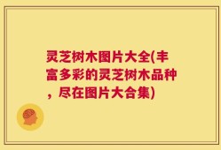 灵芝树木图片大全(丰富多彩的灵芝树木品种，尽在图片大合集)