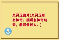 炎灵芝图片(炎灵芝形态神奇，据说有神奇功效，看背景迷人。)