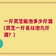 一斤灵芝能泡多少斤酒(灵芝一斤足以泡几斤酒？)