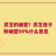 灵芝的破壁？灵芝孢子粉破壁99%什么意思