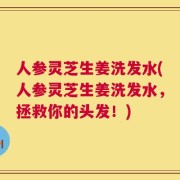 人参灵芝生姜洗发水(人参灵芝生姜洗发水，拯救你的头发！)