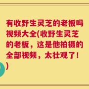 有收野生灵芝的老板吗视频大全(收野生灵芝的老板，这是他拍摄的全部视频，太壮观了！)