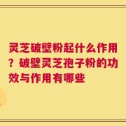 灵芝破壁粉起什么作用？破壁灵芝孢子粉的功效与作用有哪些