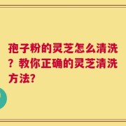 孢子粉的灵芝怎么清洗？教你正确的灵芝清洗方法？