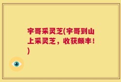 宇哥采灵芝(宇哥到山上采灵芝，收获颇丰！)