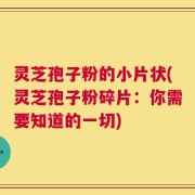 灵芝孢子粉的小片状(灵芝孢子粉碎片：你需要知道的一切)