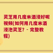 灵芝用几度米酒浸好呢视频(如何用几度米酒浸泡灵芝？- 完整教程)