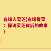 有缘人灵芝(有缘得灵：探访灵芝背后的故事)