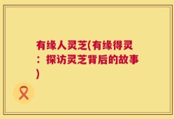 有缘人灵芝(有缘得灵：探访灵芝背后的故事)