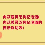 肉苁蓉灵芝枸杞泡酒(肉苁蓉灵芝枸杞泡酒的做法及功效)
