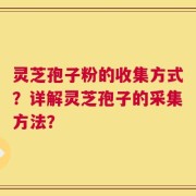 灵芝孢子粉的收集方式？详解灵芝孢子的采集方法？