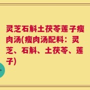 灵芝石斛土茯苓莲子瘦肉汤(瘦肉汤配料：灵芝、石斛、土茯苓、莲子)