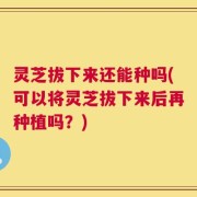 灵芝拔下来还能种吗(可以将灵芝拔下来后再种植吗？)